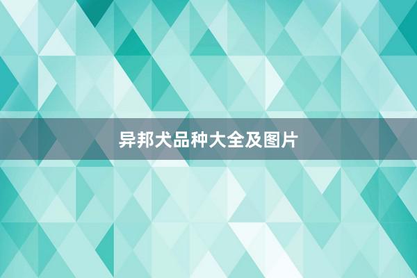异邦犬品种大全及图片